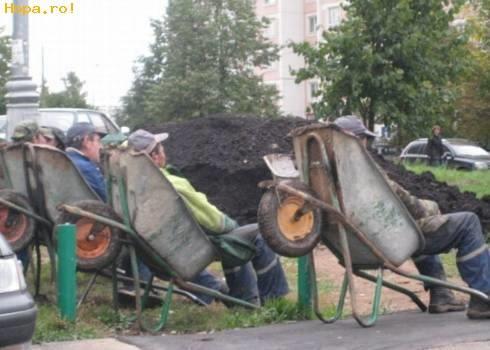 Diverse - 9940193946599773294261337934218n.jpg